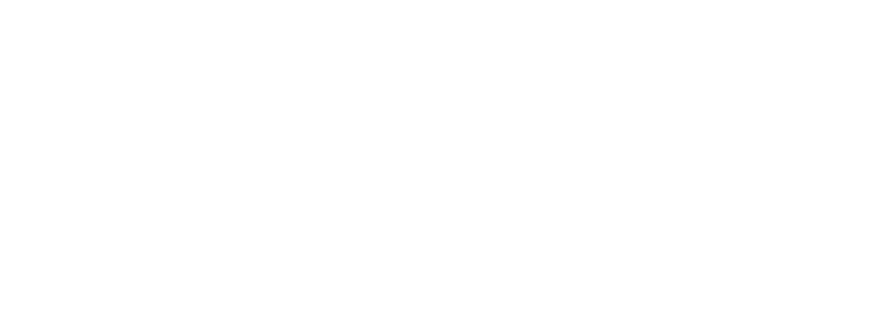 Scaling Principles